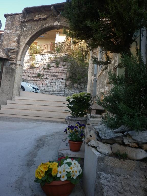 La Piccola Mimosa Apartamento SantʼAmbrogio di Valpolicella Exterior foto