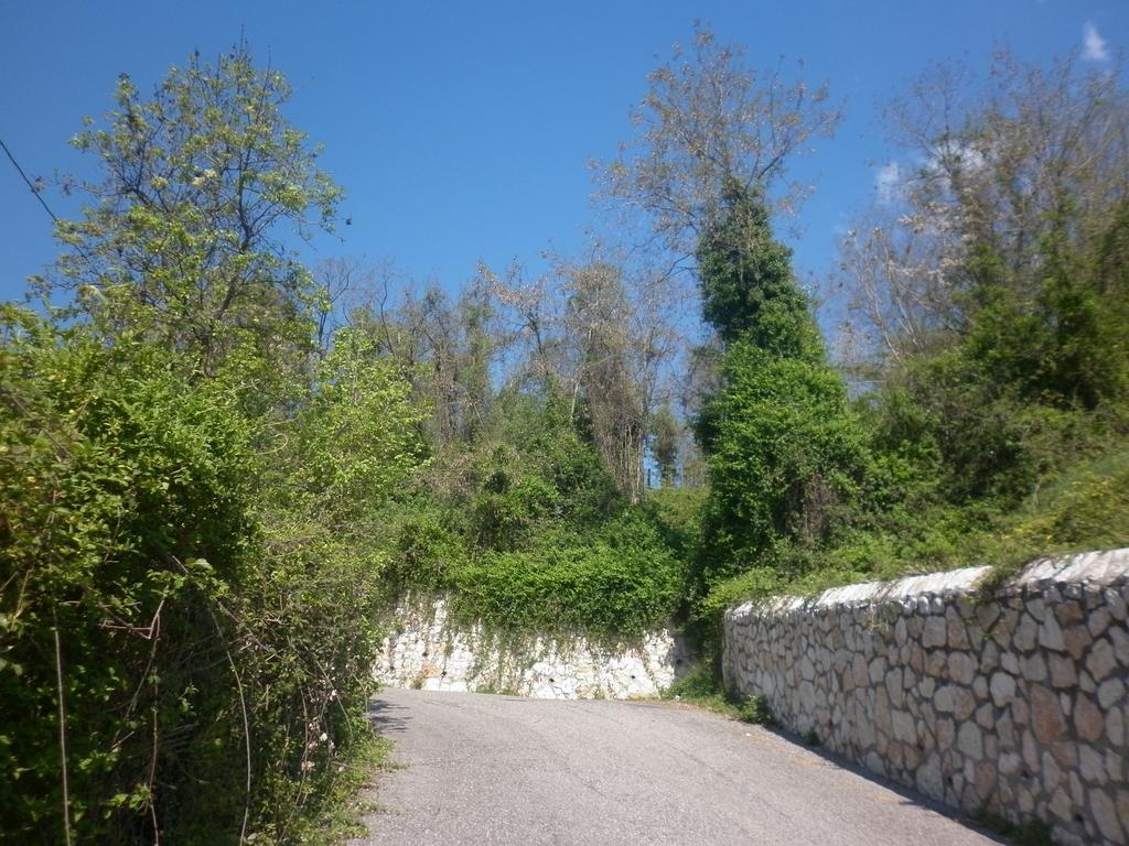 La Piccola Mimosa Apartamento SantʼAmbrogio di Valpolicella Exterior foto